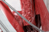 Autodesk 2014